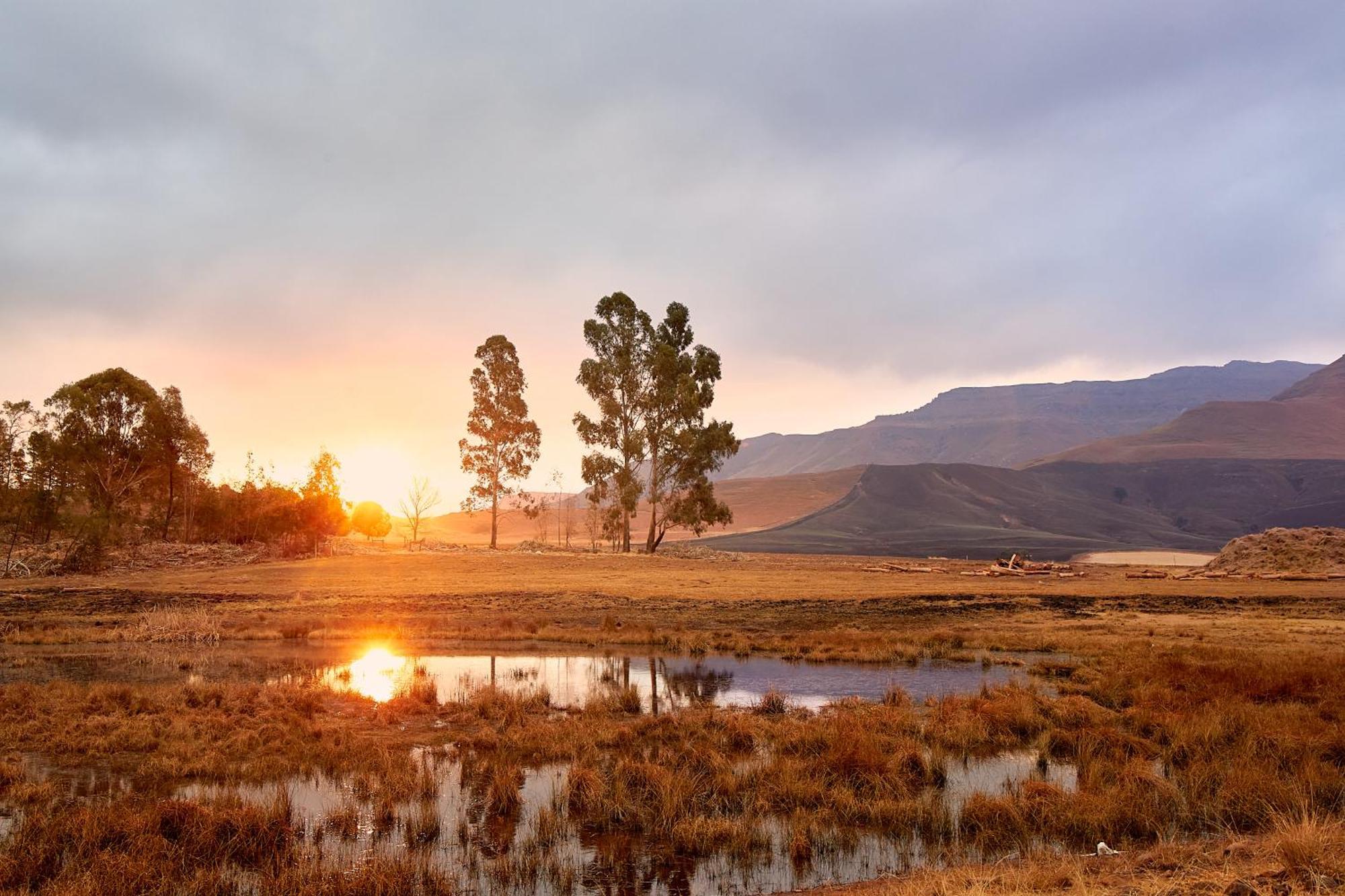 Hotel First Group Bushman’s Nek Drakensberg Gardens Exterior foto